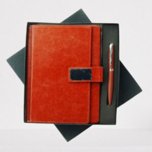 Diary & Pen - 2 in 1 Set