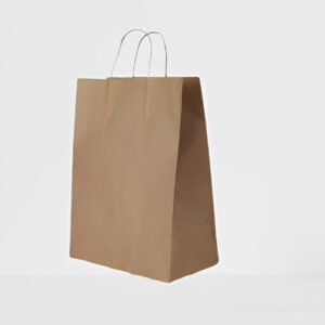 Brown Eco Paper Bag